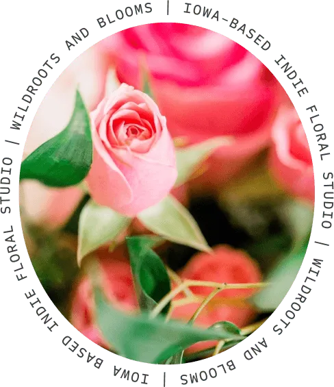 Pink roses framed by the words “Wildroots and Blooms | Iowa-based indie floral studio”
